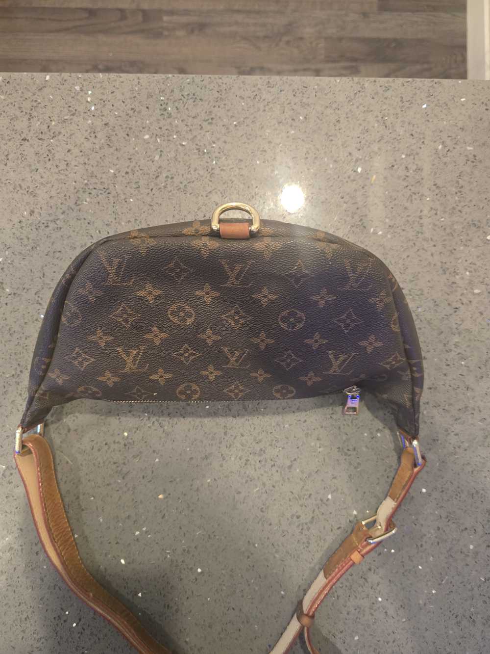 Louis Vuitton Louis Vuitton Bum Bag Black Interio… - image 11