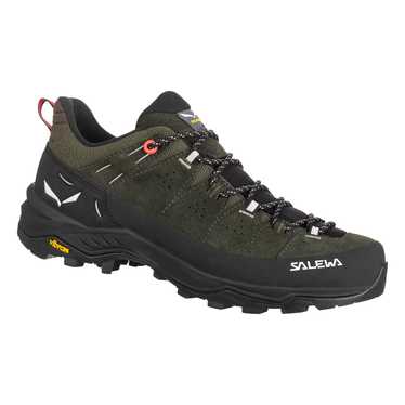 Salewa Alp Trainer 2