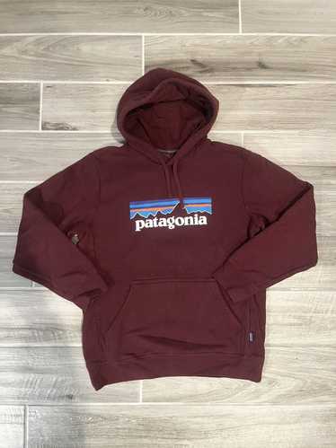 Patagonia Patagonia Pullover Hoodie Sweatshirt Si… - image 1