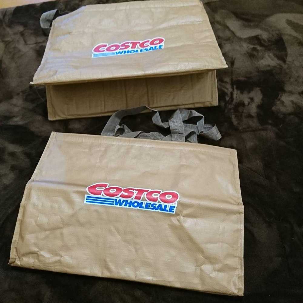 Costco Discontinued Bags: 3 New + 2 Used - image 9