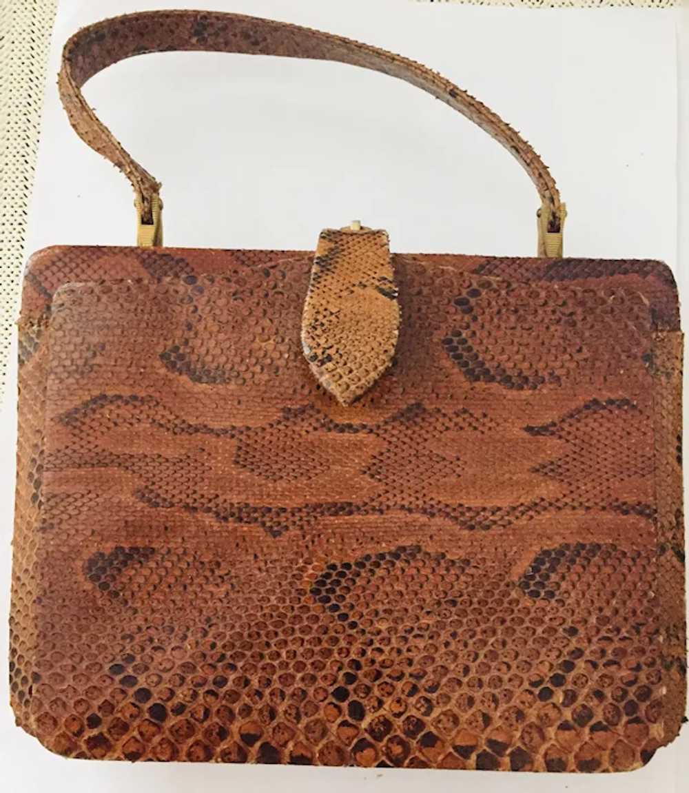 Vintage Exotic Python Leather Handbag with Brass … - image 2