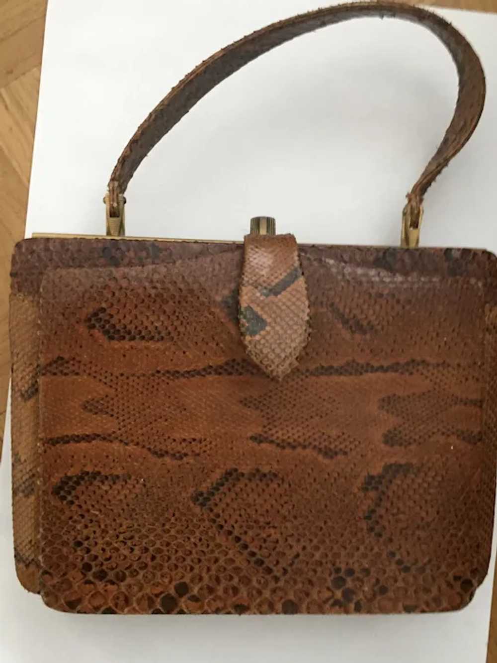 Vintage Exotic Python Leather Handbag with Brass … - image 3