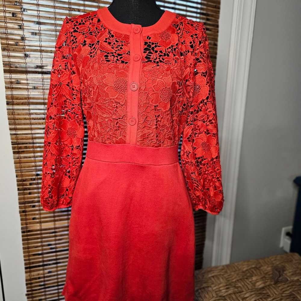 Shema French Connection Lace Dress - image 11