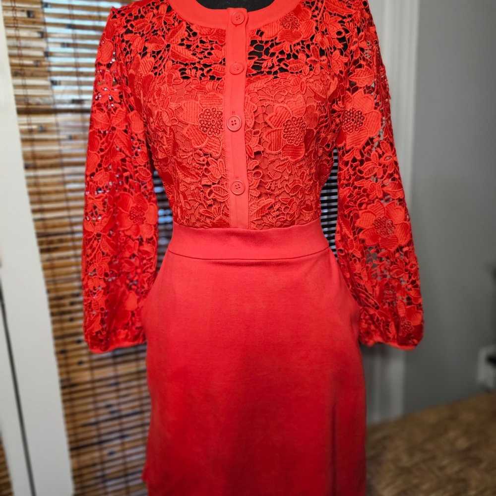 Shema French Connection Lace Dress - image 1