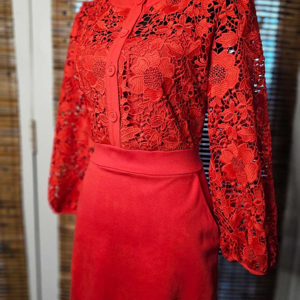 Shema French Connection Lace Dress - image 9