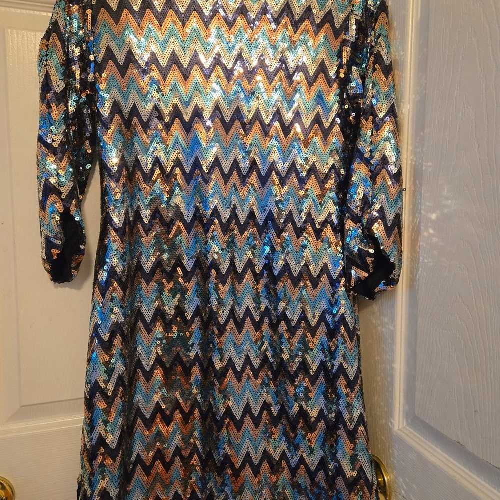 Sequined Dress 3/4 length sleeve - image 1