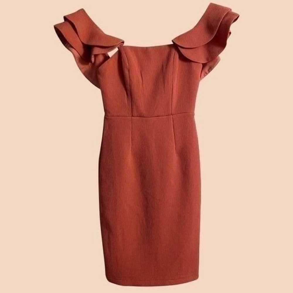 Angel Biba coral dress - image 3