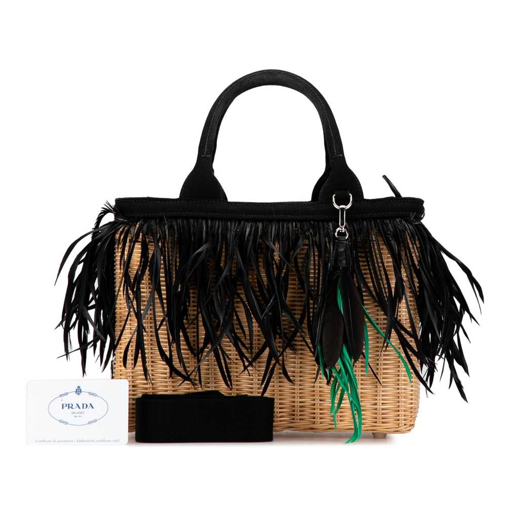 Brown Prada Canapa Trimmed Feather Midollino Satc… - image 11