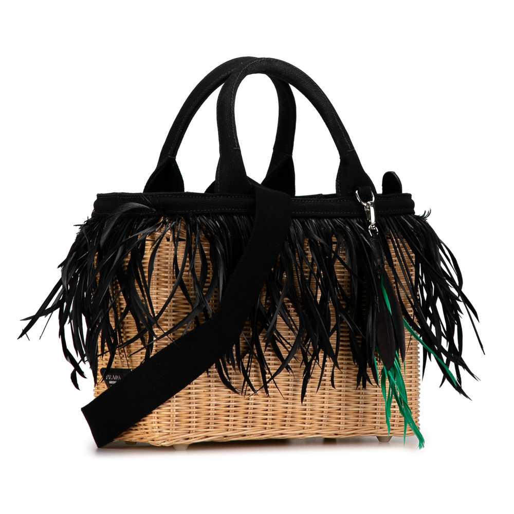 Brown Prada Canapa Trimmed Feather Midollino Satc… - image 2