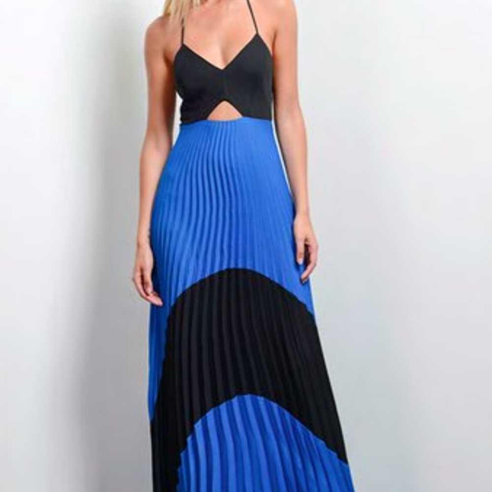 Karina Grimaldi Fabi Pleated Maxi Dress - image 5