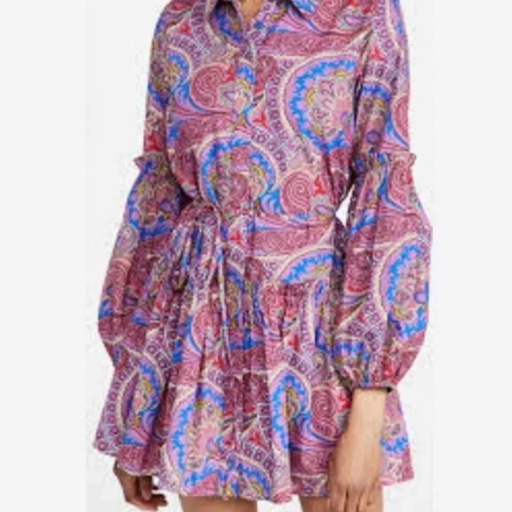 NWOT Alexis Berry Paisley Zamata Dress - image 2