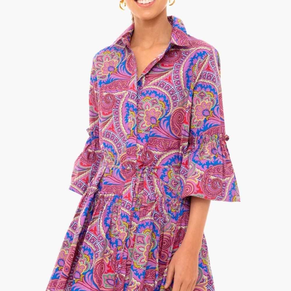 NWOT Alexis Berry Paisley Zamata Dress - image 4