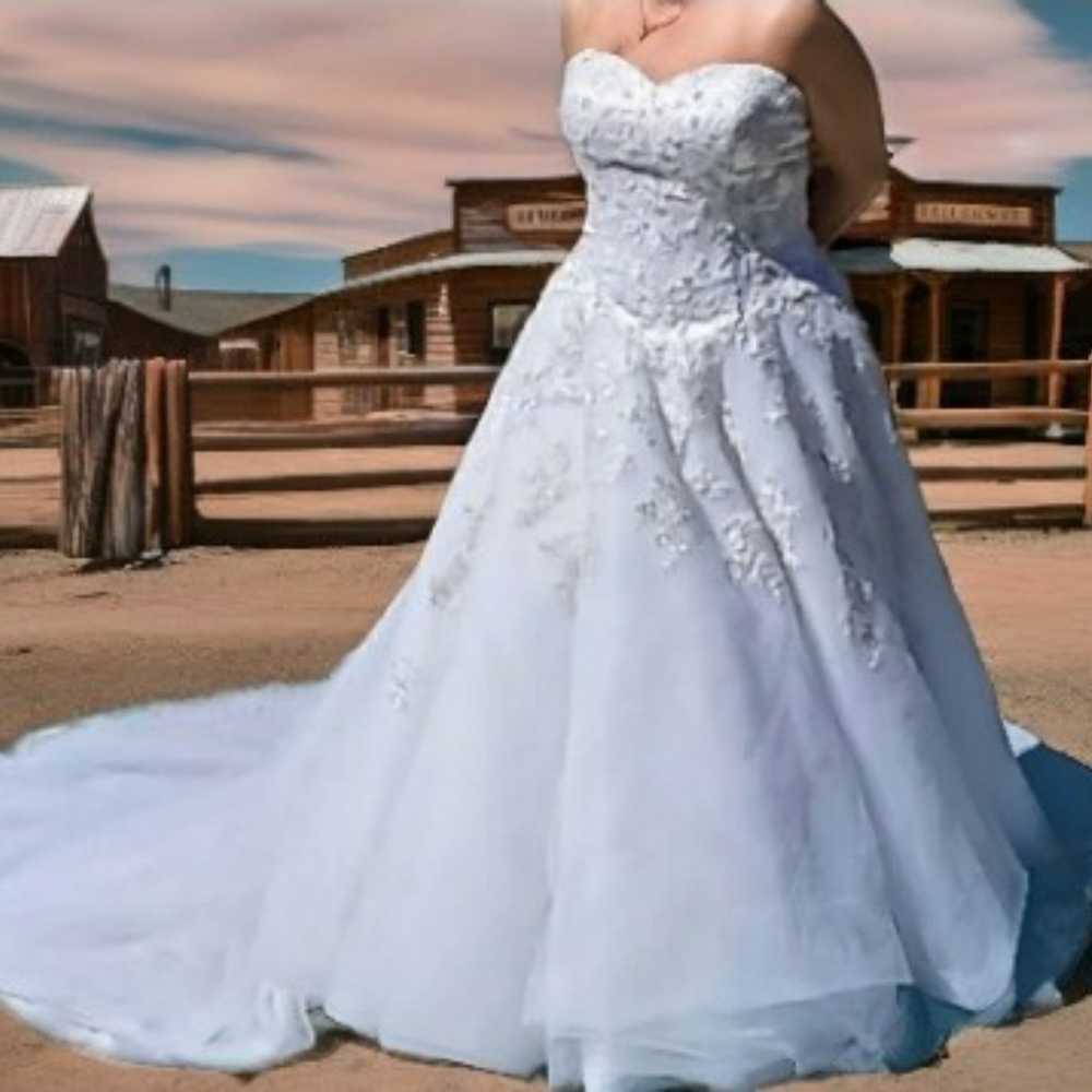 David's Bridal Wedding Dress. I'll post more info… - image 1