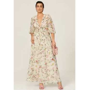 ML Monique Lhuillier Floral Pleated Chiffon Gown - image 1