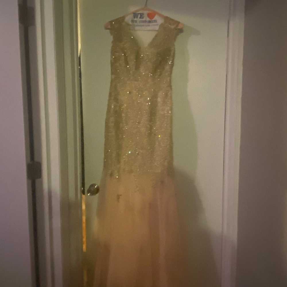 Champagne Pink Gold Sequin Gown - image 1