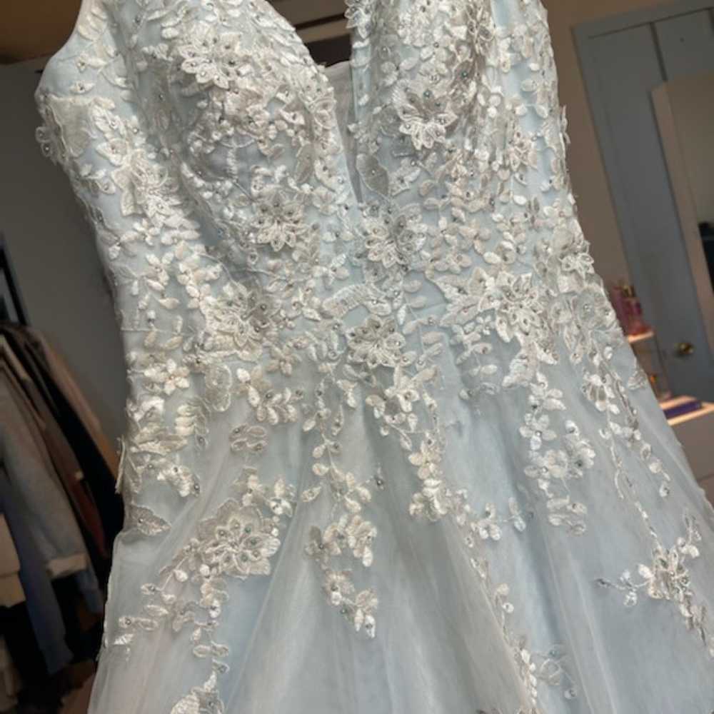 Embroidered Sleeveless Ballgown - image 8