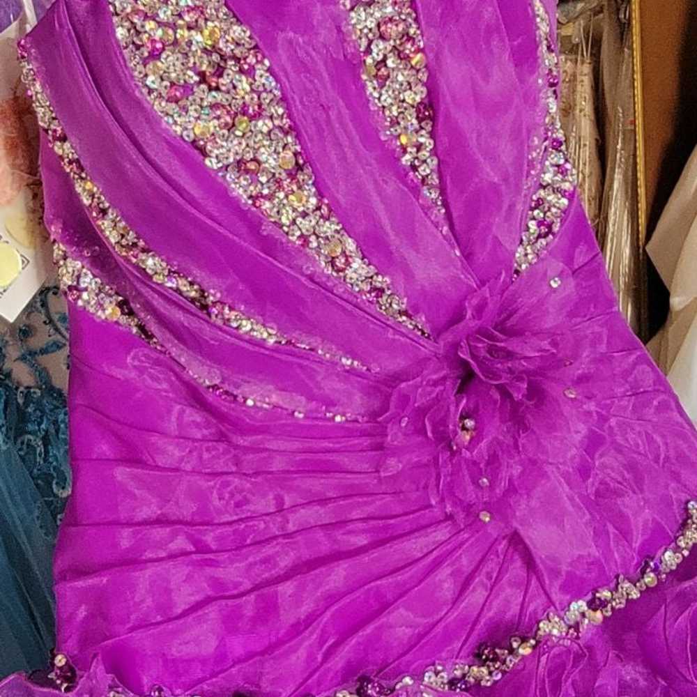 Purple Quinceañera Dress / Prom Dress / Ball Gown - image 5