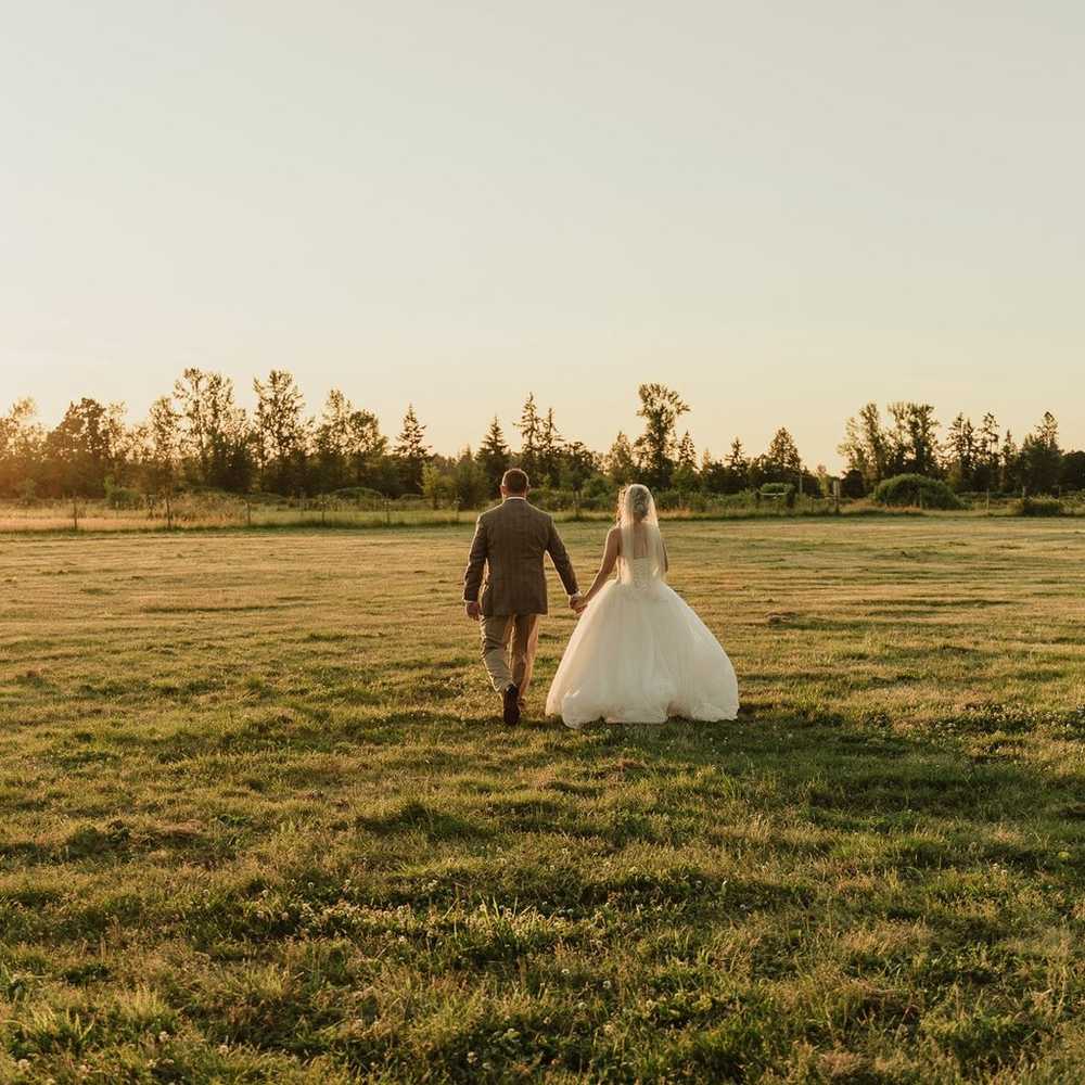 David’s Bridal Sparkly Ballgown Wedding Dress, si… - image 9