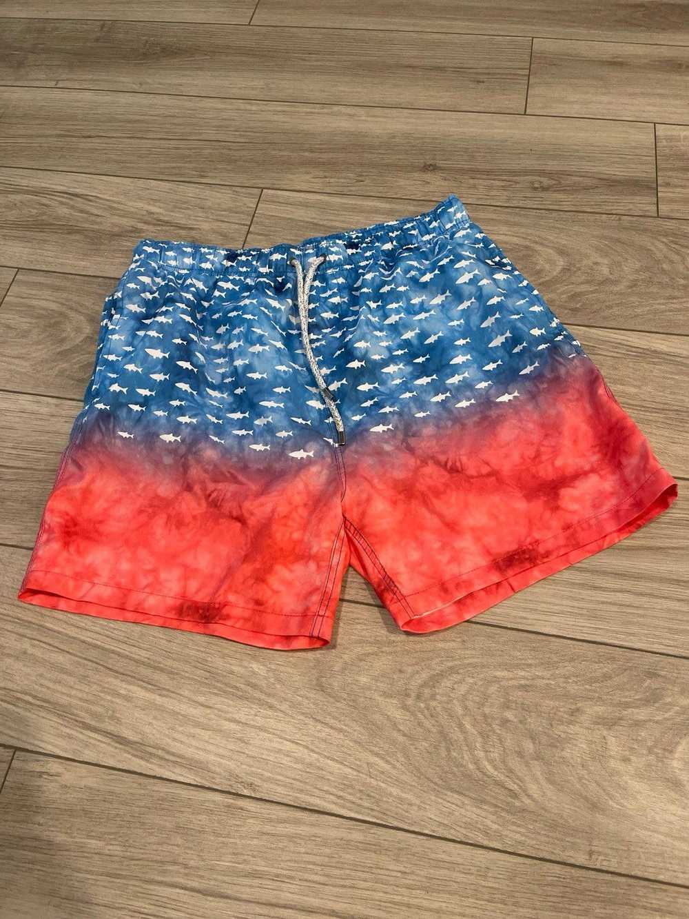 Designer The endless summer swim trunks - image 1