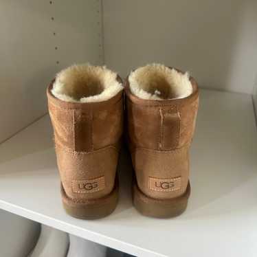 Chestnut short Uggs