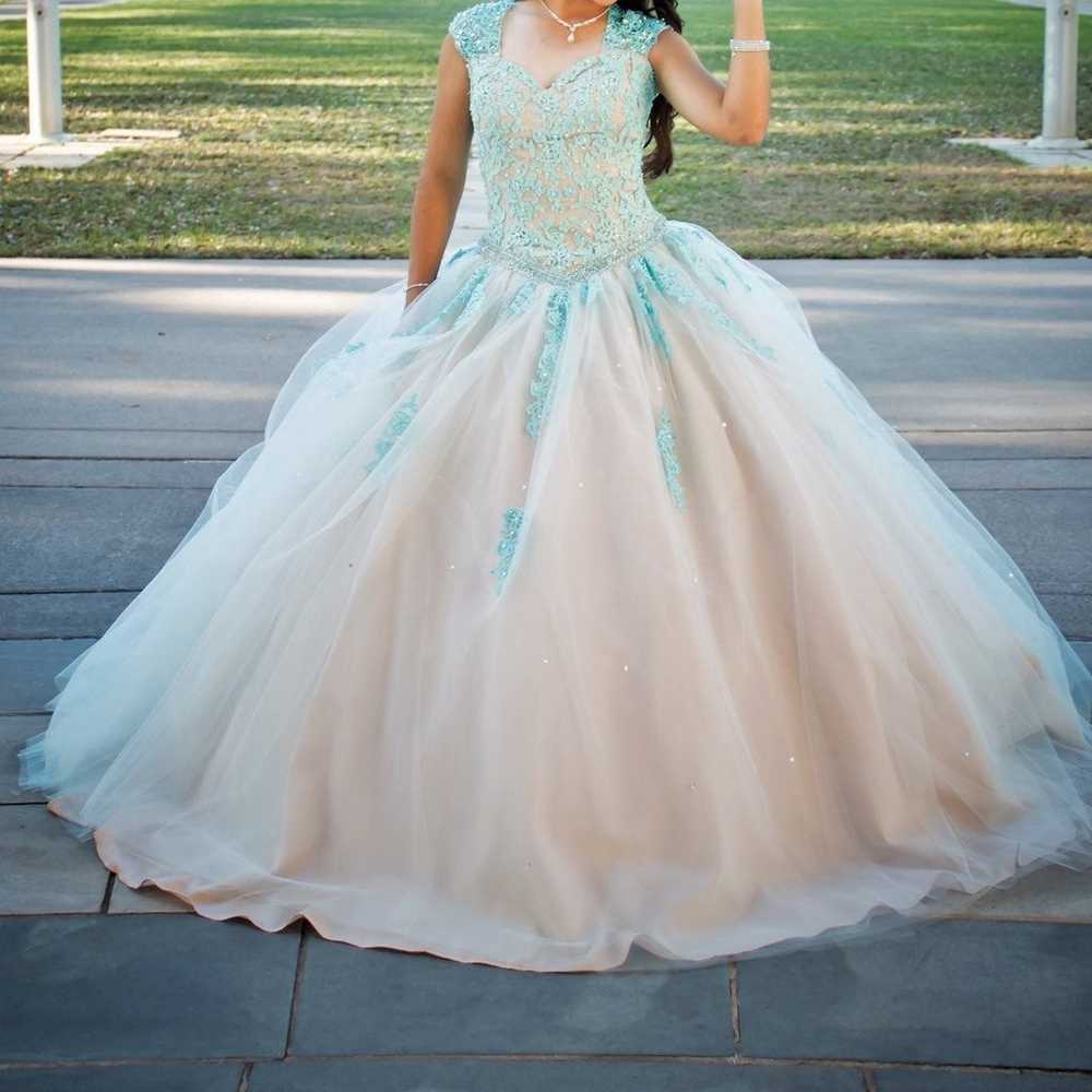 quinceanera dresses/ Sweet 16 Dress/pack - image 1