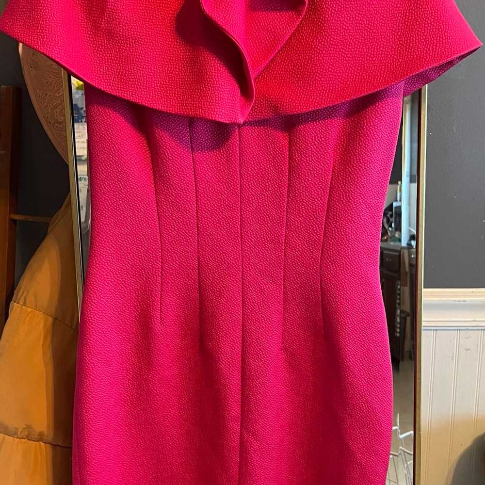 Pamella Roland Dress and cape size6 - image 1