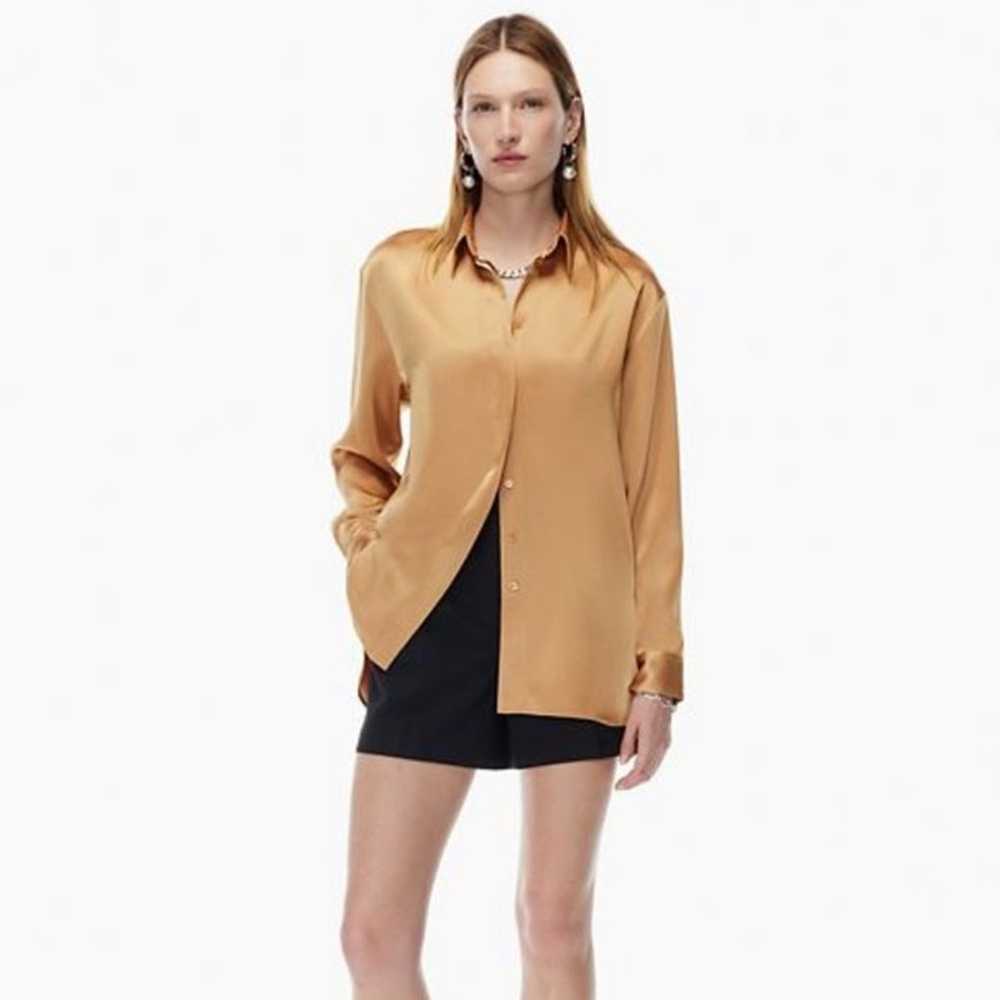 Aritzia Babaton Sable Satin Button-up Shirt in Cl… - image 1