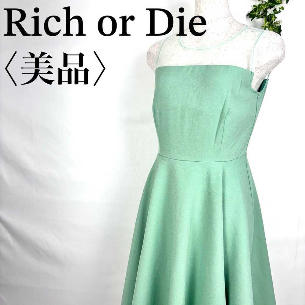 【Excellent Condition】Rich or Die Mint Green Sleev… - image 1