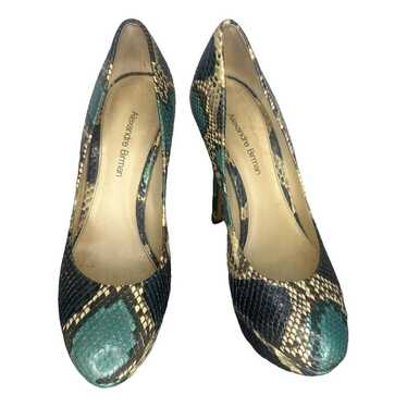 Alexandre Birman Python heels