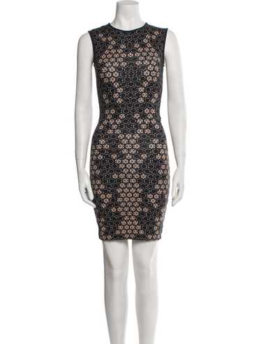 Alexander mcqueen lace dress - Gem