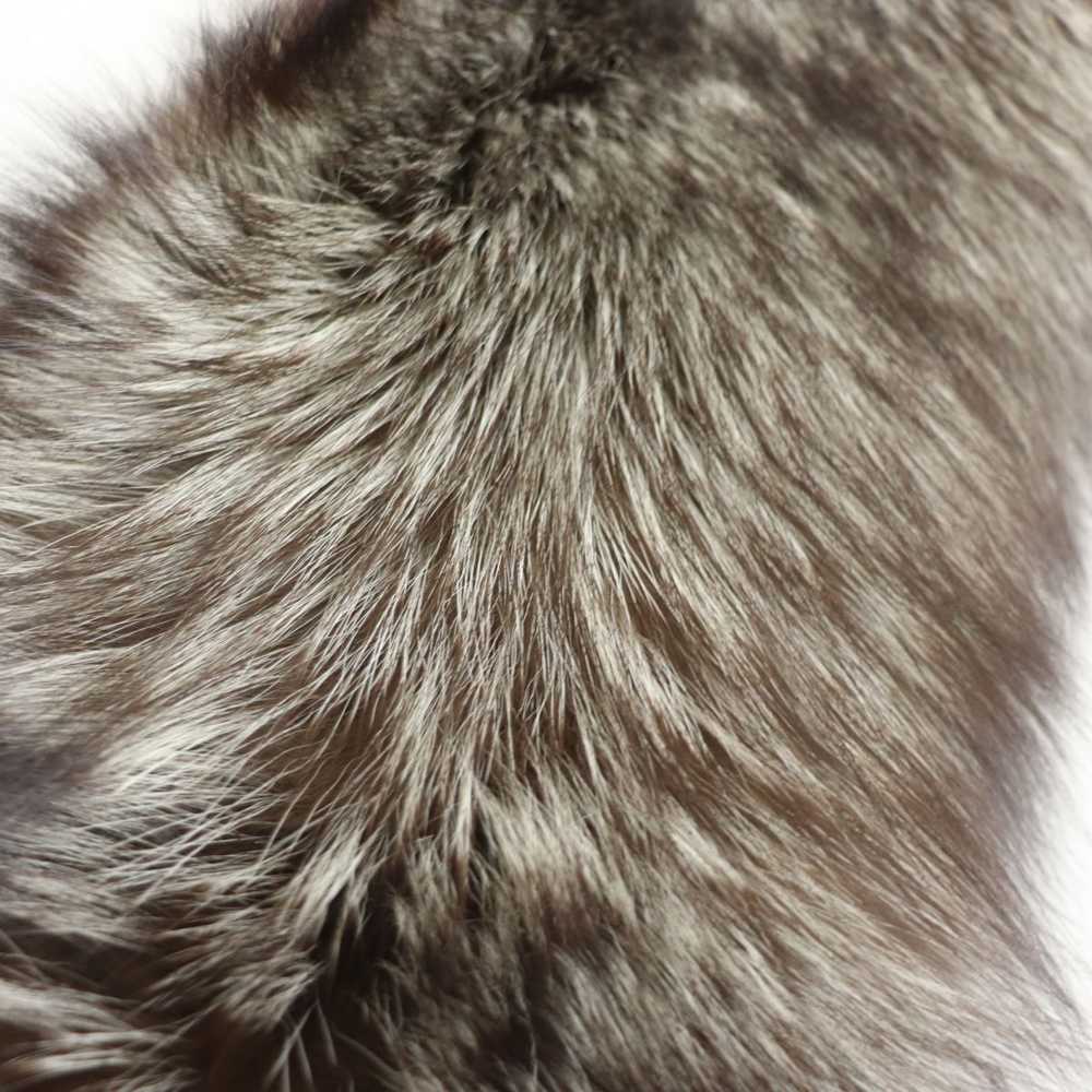 Other Other SAGA FOX Genuine Fur Tippet Shawl Sto… - image 4