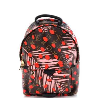 Louis Vuitton Cloth backpack - image 1