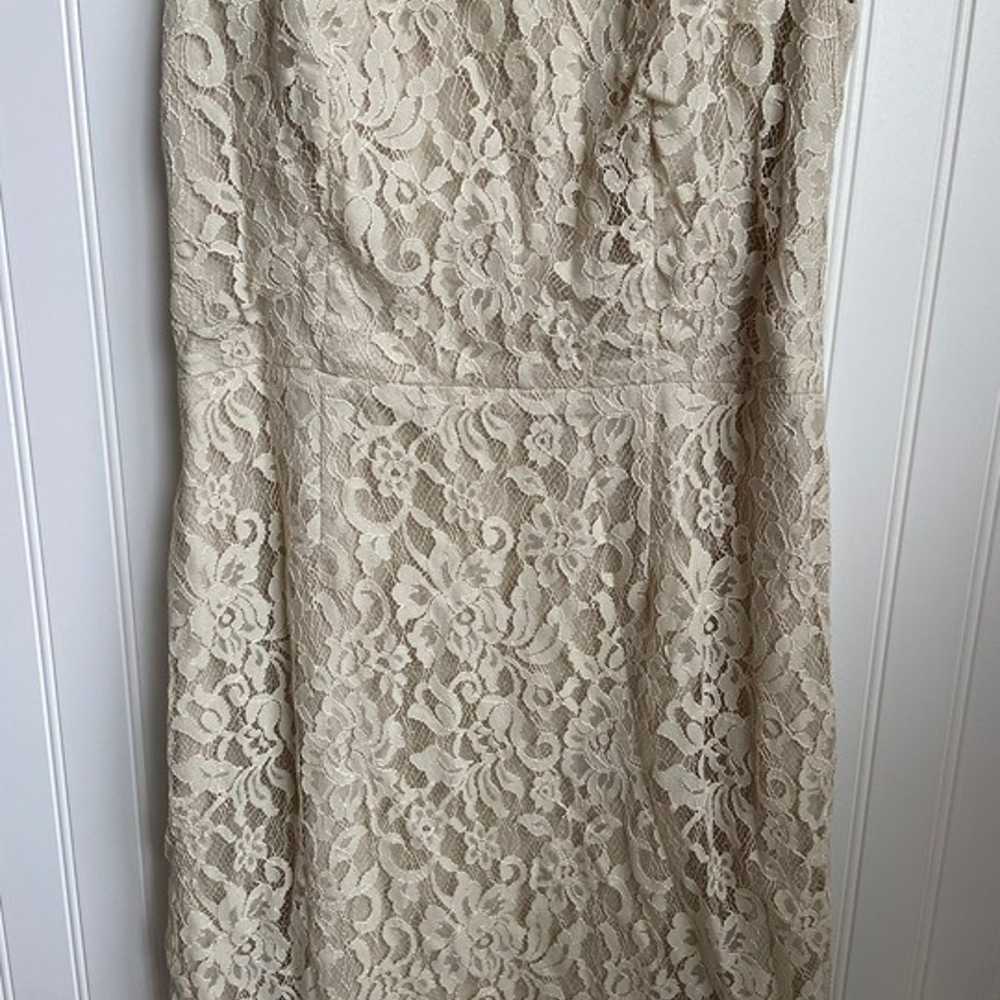 Hilton Hollis Beige Lace Sleeveless Sheath Dress … - image 4