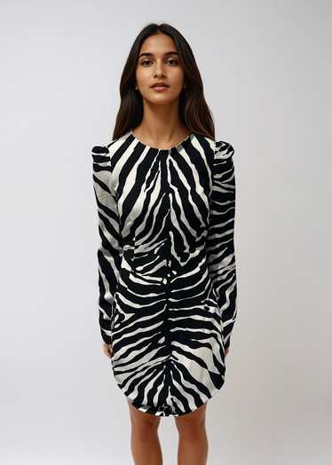 Dolce & Gabbana Zebra Dress