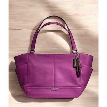 Coach F23284 Park Leather Carrie Tote Bag