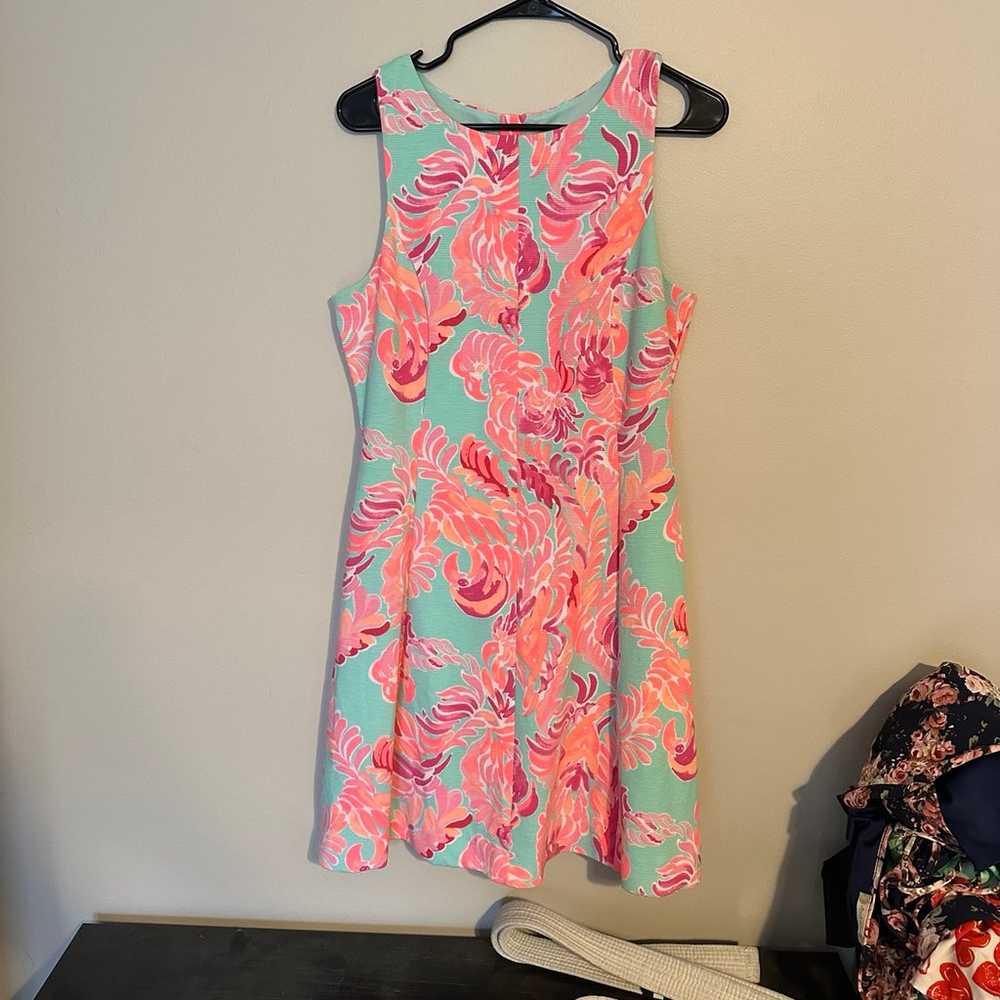 Lilly Pulitzer Dress - image 3