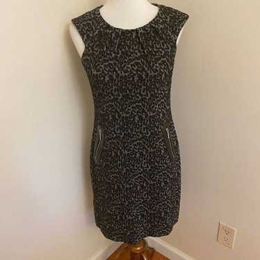 Eliza J Leopard Print Shift Dress Size 6