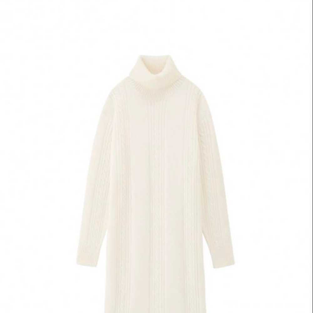 Beautiful condition ♡ Turtle knit dress - image 1