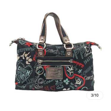 Coach handbag graffiti - Gem