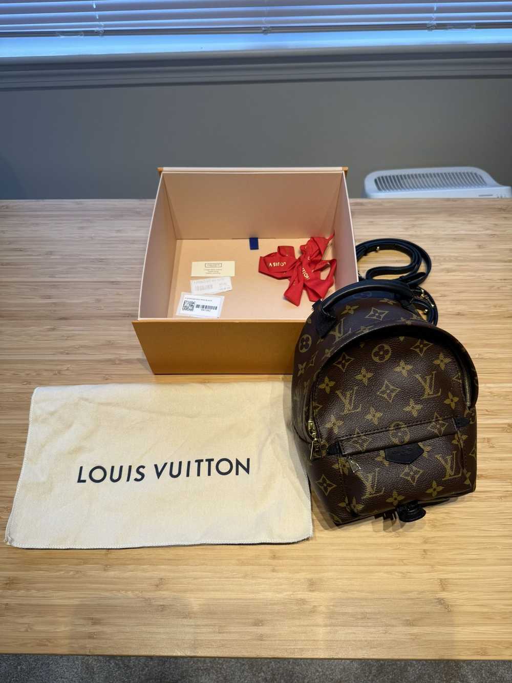 Louis Vuitton Louis Vuitton Palm Springs Mini Mon… - image 2