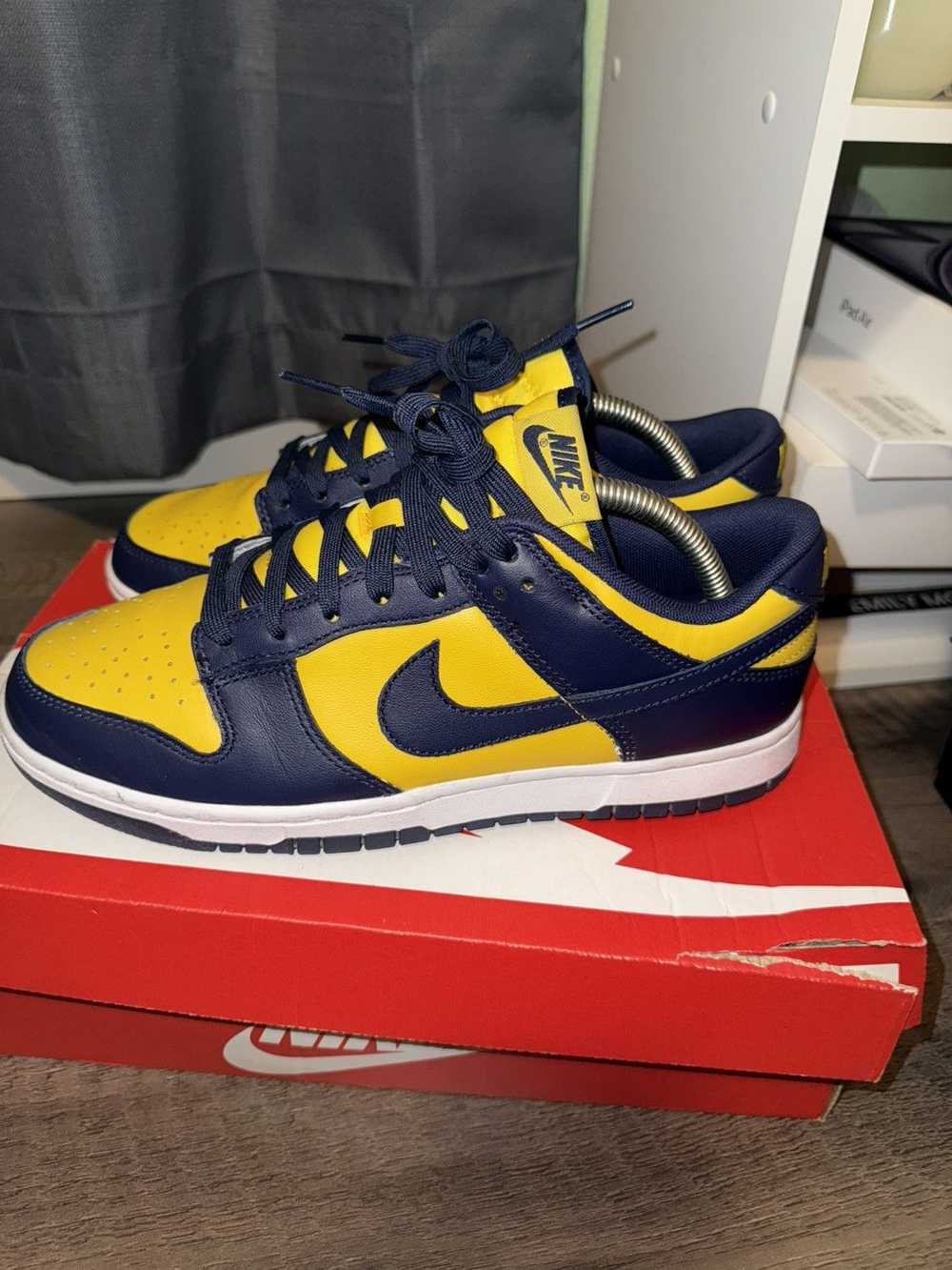 Nike Michigan Dunk Lows - image 4