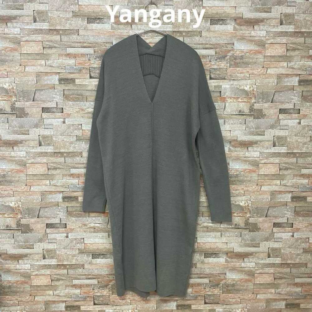 Yangany / V-neck Knit Dress - image 1