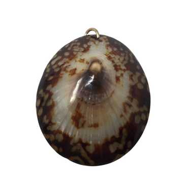 Other Vintage Brown/White Sea Shell Pendant For N… - image 1