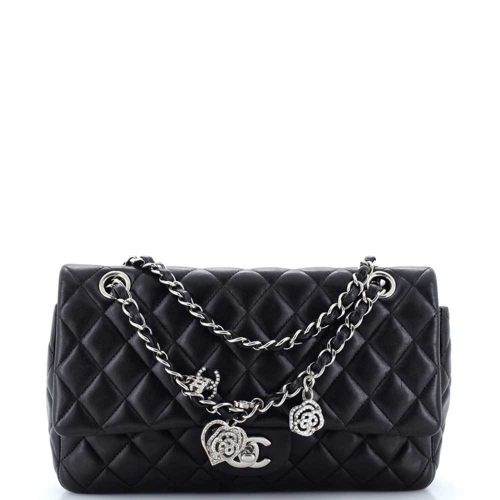 CHANEL Valentine Crystal Hearts Flap Bag Quilted … - image 1