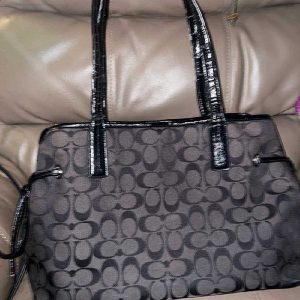 Coach Signature Python Stripe Carryall bag - image 9