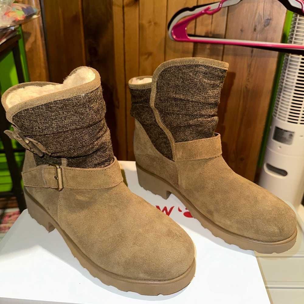 Bearpaw short boots - image 1