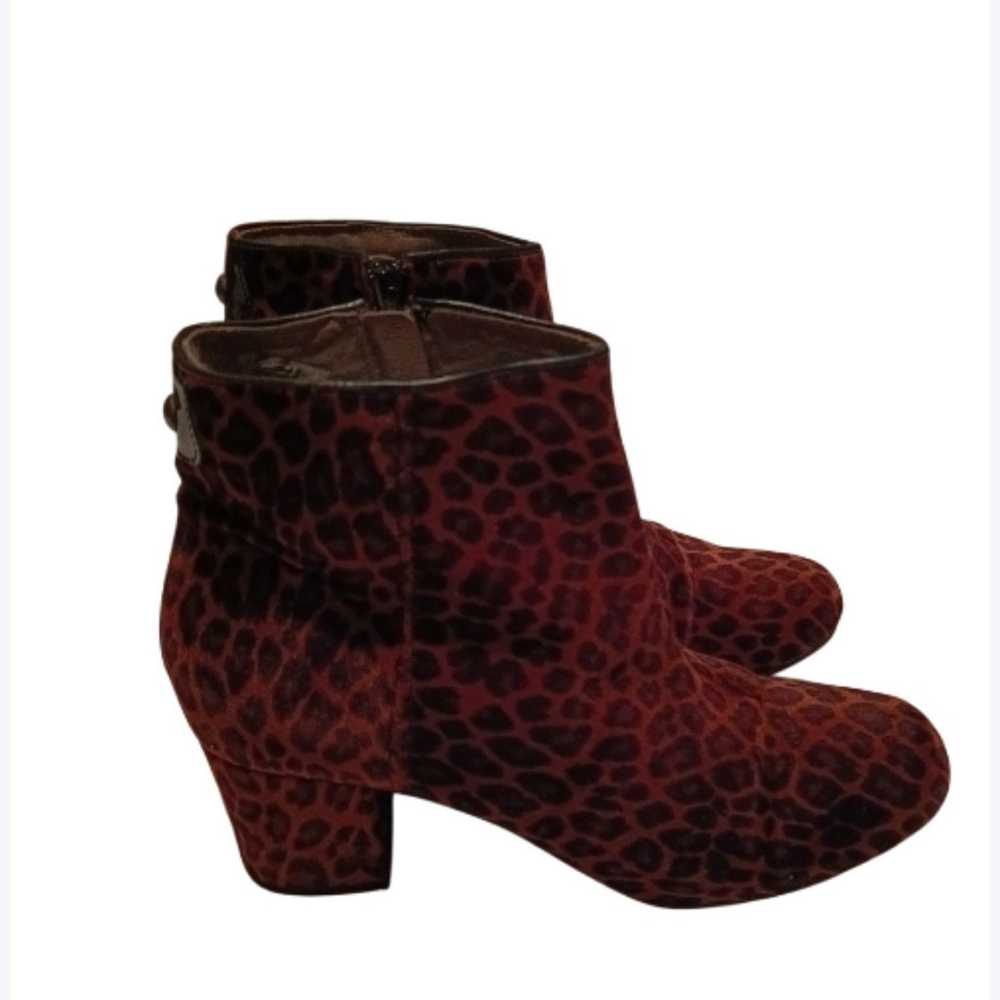 Hudson London Leopard suede/leather Booties - image 2