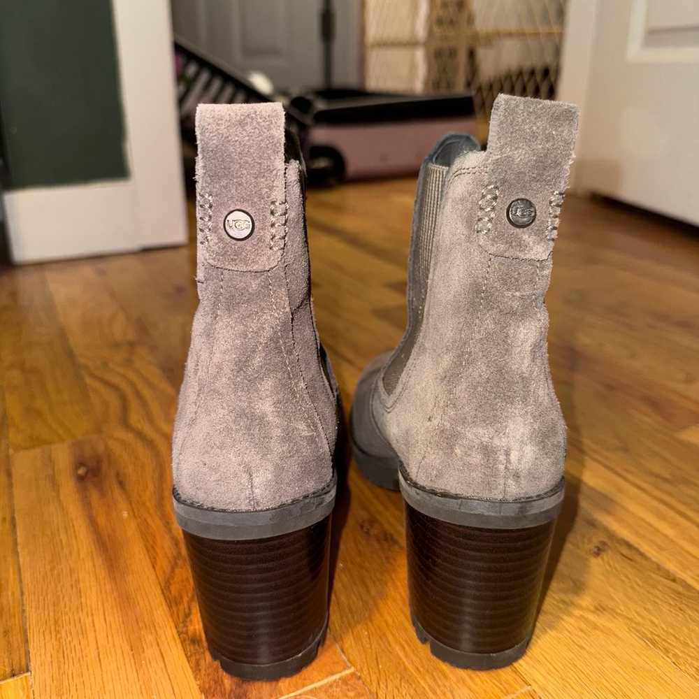 Gray suede Ugg booties - image 4