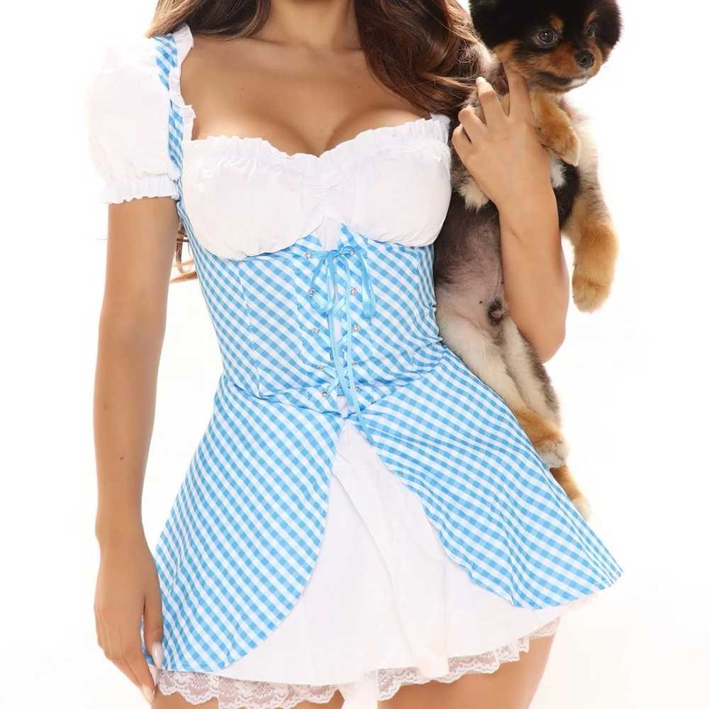 dorothy costume dress - image 7