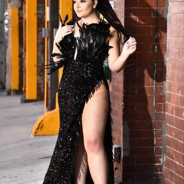 Black Sequin Feather Dress - image 1